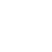 icon zertify 