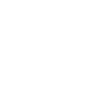 fast delivery icon 